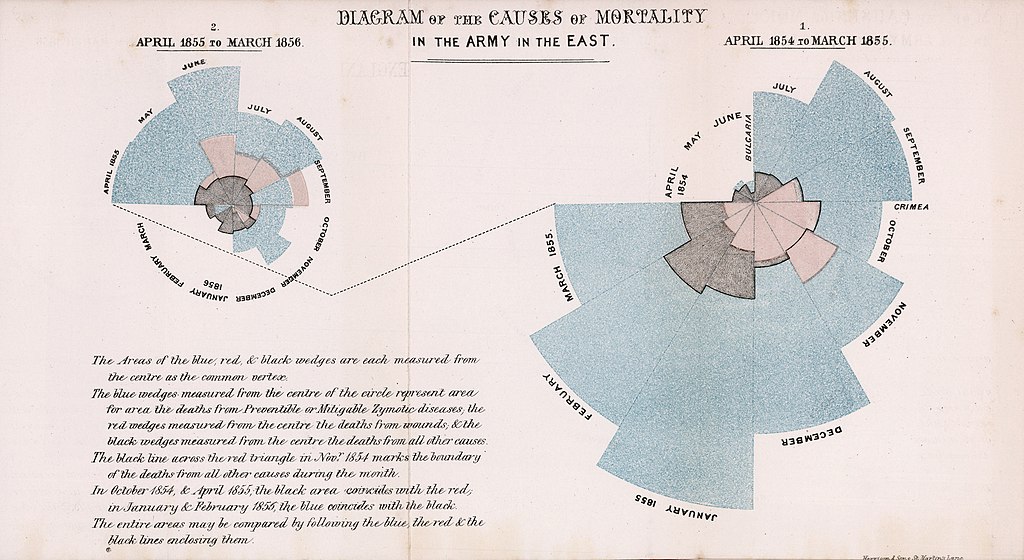 Nightingale's rose chart on the causes of death