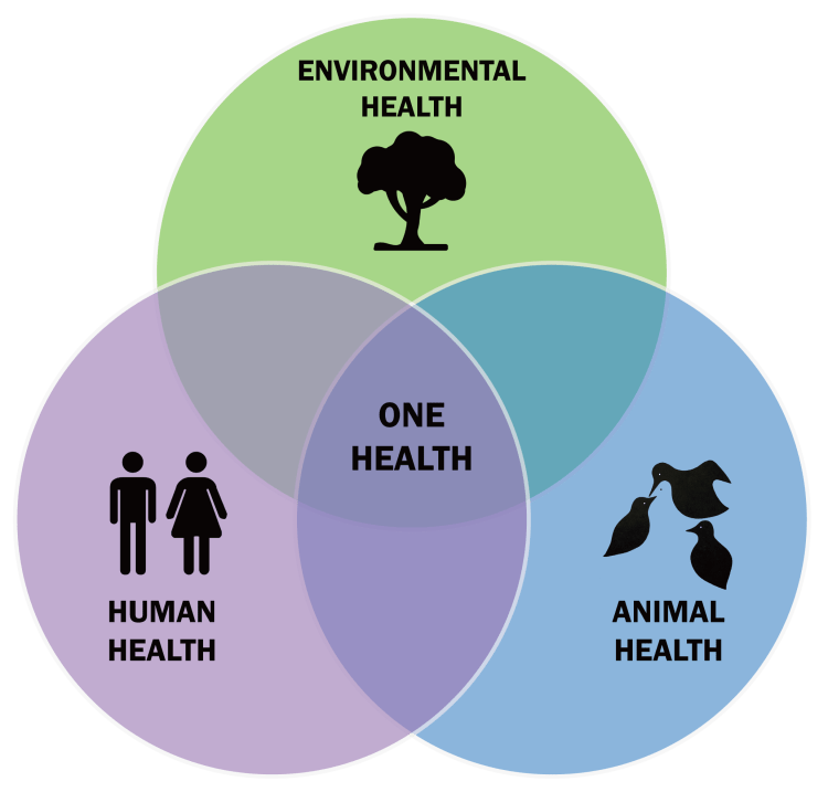Rappresentazione schematica del concetto One Health, che include la salute ambientale, la salute umana e la salute animale